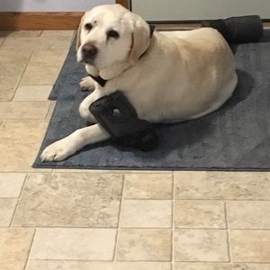 Meet your Posher, Diana